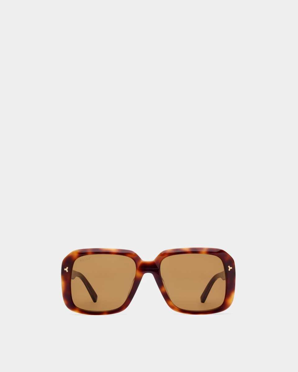 Bally Thun Acetate Solglasögon Herr Bruna | 9312RCIEX